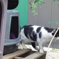 photo de livraison pour Bouba et Compagnie