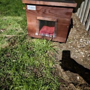 photo de livraison pour Les Chats de Dugny