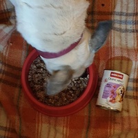 photo de livraison pour AVRAH