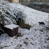 photo de livraison pour Sweety Pets