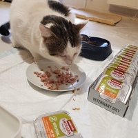 photo de livraison pour La Vraie Magie des Chats