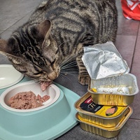 photo de livraison pour Association C.A.T.S. Chat Animal Terrien Solidarité
