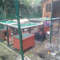 photo de livraison pour Poils de Tendresse