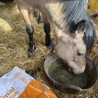 photo de livraison pour Espoir au Galop