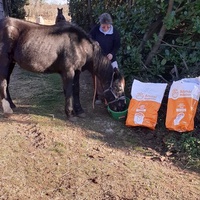 photo de livraison pour Association hippique du Caroux