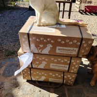 photo de livraison pour SOS Animaux, un Toit pour la Vie