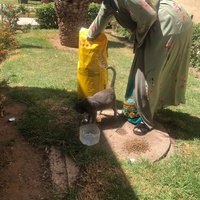 photo de livraison pour Hajar Aourz