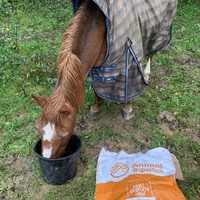 photo de livraison pour Espoir au Galop