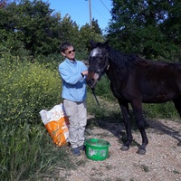 photo de livraison pour La Retraite des Chevaux des Causses