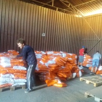 photo de livraison pour Innocente