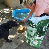 photo de livraison pour Udruženje za zaštitu životinja "Pongo"