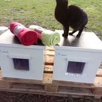 photo de livraison pour Chats Oubliés