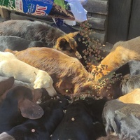 photo de livraison pour SPAS