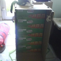 photo de livraison pour Pattes de Chats 50