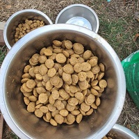 photo de livraison pour Serbian Society for the Protection of Animals - SSPA