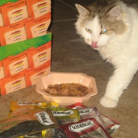 photo de livraison pour Jardin des Chats