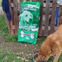 photo de livraison pour Beta Zajecar