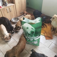 photo de livraison pour ПРИХВАТИЛИШТЕ ДРАЖЕВАЦ