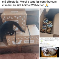 photo de livraison pour Les Chats Libres de la Lèze