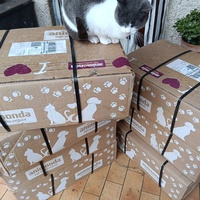 photo de livraison pour Cat Miaou