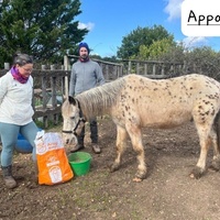 photo de livraison pour La Retraite des Chevaux des Causses