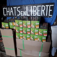 photo de livraison pour Chats en Liberté