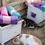 photo animal