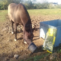 photo de livraison pour Equi-Libre : Droit à la Retraite Equine