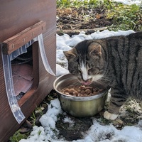 photo de livraison pour Sweety Pets