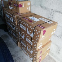 photo de livraison pour Chat L'Heureux Chat l'Ange et Cie