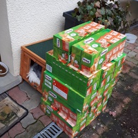 photo de livraison pour Chats du Pays d'Ornans
