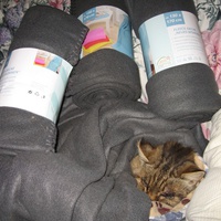 photo de livraison pour Jardin des Chats