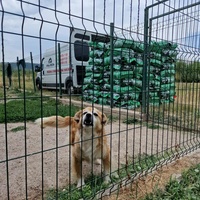 photo de livraison pour Serbian Society for the Protection of Animals - SSPA