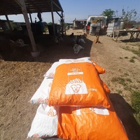 photo de livraison pour Animal Shields Oradea