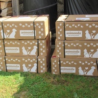 photo de livraison pour Jardin des Chats