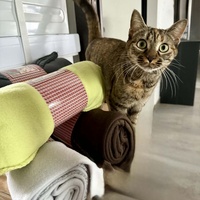 photo de livraison pour L'Arche de Ploum