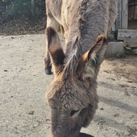 photo de livraison pour ADADA