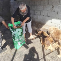 photo de livraison pour ПРИХВАТИЛИШТЕ ДРАЖЕВАЦ