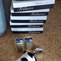 photo de livraison pour Ecole du Chat de Roubaix
