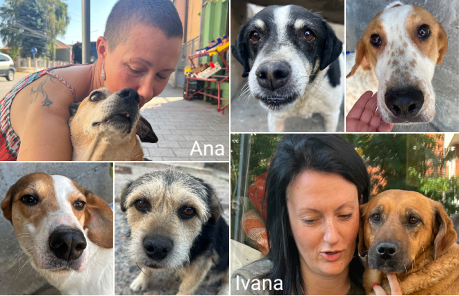 photo association