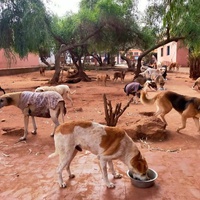 photo de livraison pour UMPA