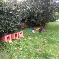 photo de livraison pour Chaperlipopette 77