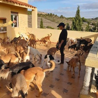 photo de livraison pour Sanctuaire de la Faune de Tanger (SFT)