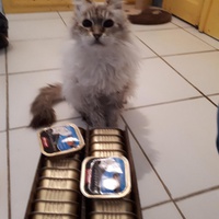 photo de livraison pour CAPPA