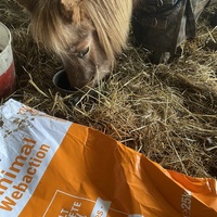 photo de livraison pour Espoir au Galop
