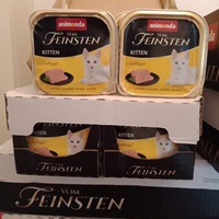 photo de livraison pour Les Chats-Pitresdelavi-Ste
