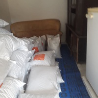 photo de livraison pour Youmn pour la Protection des Animaux à Assilah