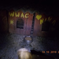 photo de livraison pour Pro Animals Finland ry