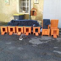 photo de livraison pour Les Psychadelics 