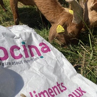 photo de livraison pour Espoir au Galop